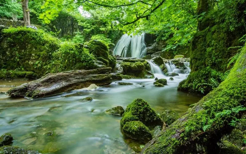 可靠性高端精密